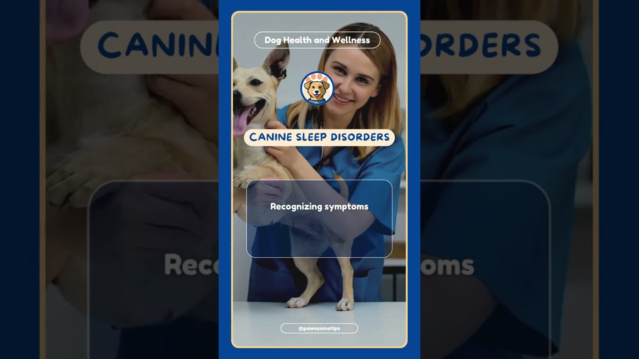 🐕 Canine Sleep Disorders Just like humans, dogs can suffer from sleep disorders. 🌙 Recognizin