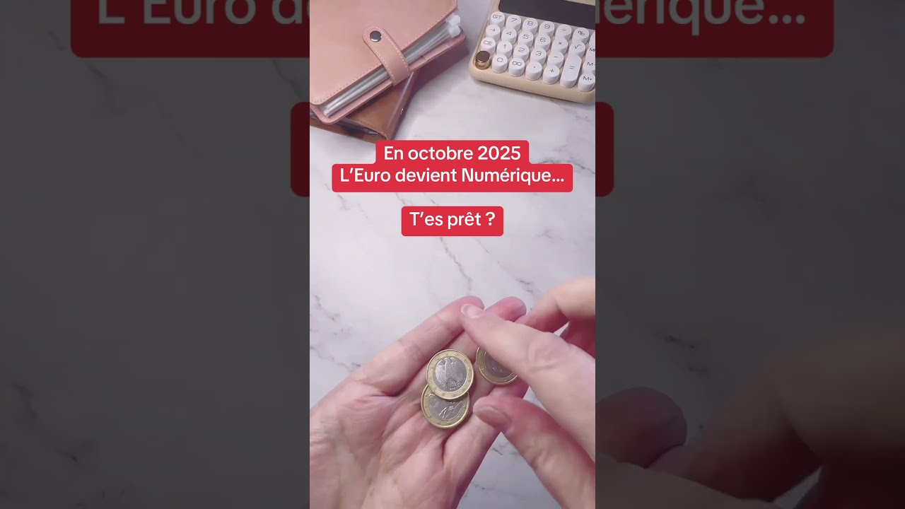 L Euro Num Rique Enveloppesbudg Taires Organisation Cash Systemedesenveloppes