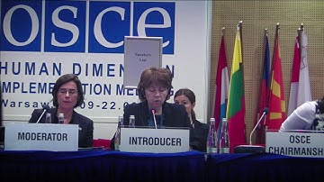 2017 HDIM: Working Session 17