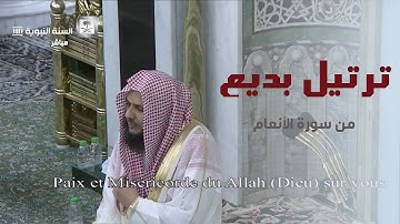 من أروع تلاوات الشيخ خالد المهنا ( ماتيسر من سورة الأنعام ) تراويح 1439 بالمسجد النبوي