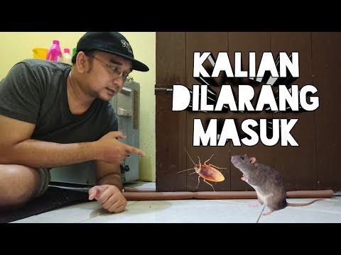 Video: Memasang Pelindung Di Atas Pintu Masuk