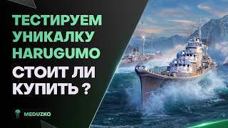 картинка: УНИКАЛЬНЫЙ HARUGUMO ● ПОСЛЕ БОЛЬНИЧКИ