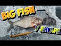 Крупный лещ | Зимняя рыбалка | Белоярское водохранилище | Ангар