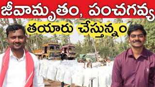 16 ఏండ్లుగా జీవామృతం, పంచగవ్య చేస్తున్నం | Panchagavya Jeevamrutham