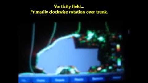 Visualizing automotive aerodynamics