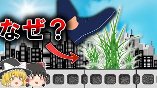 【雑学】雑草が踏まれやすいアスファルトに生える理由【ゆっくり解説】