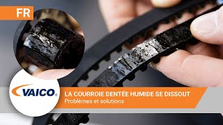 Courroie de distribution humide 1.2 PureTech | Peugeot, Citroen | V220887