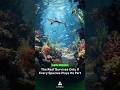 One Missing Species Can Collapse an Entire Reef #shorts #coralreef #marinebiology