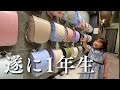 【ラン活】5歳次女が悩んだ末...ようやくランドセルが決まりました!!︎