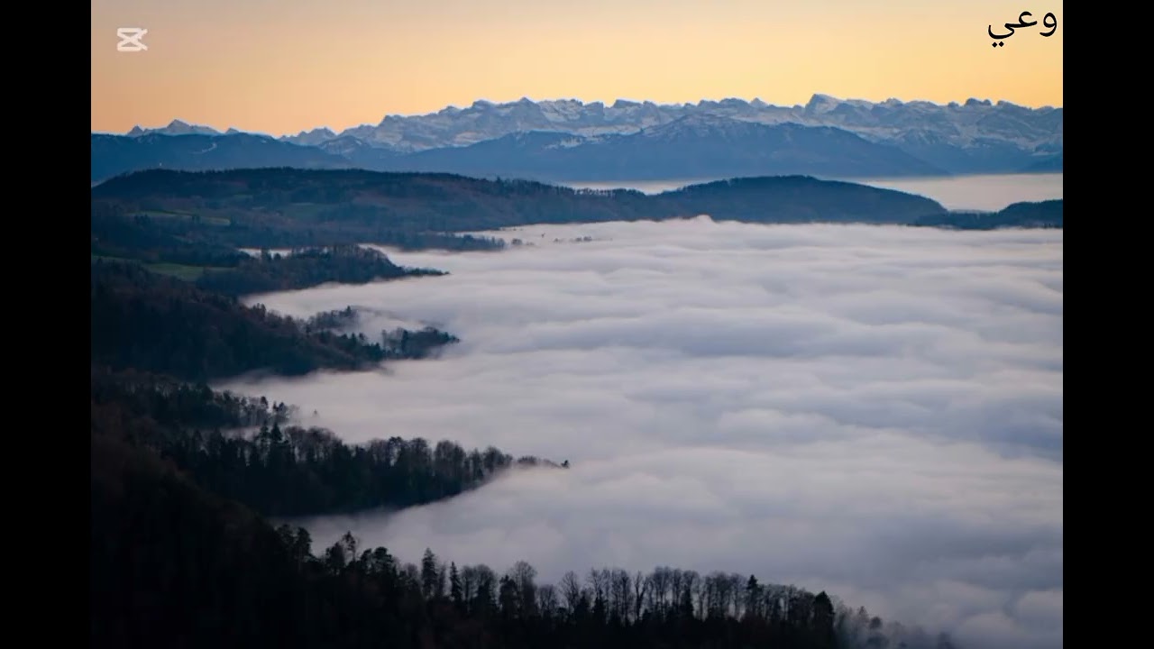 النرجسي الخفي