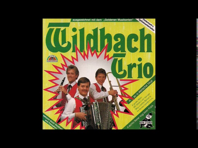 Wildbach Trio - Im fernen Land