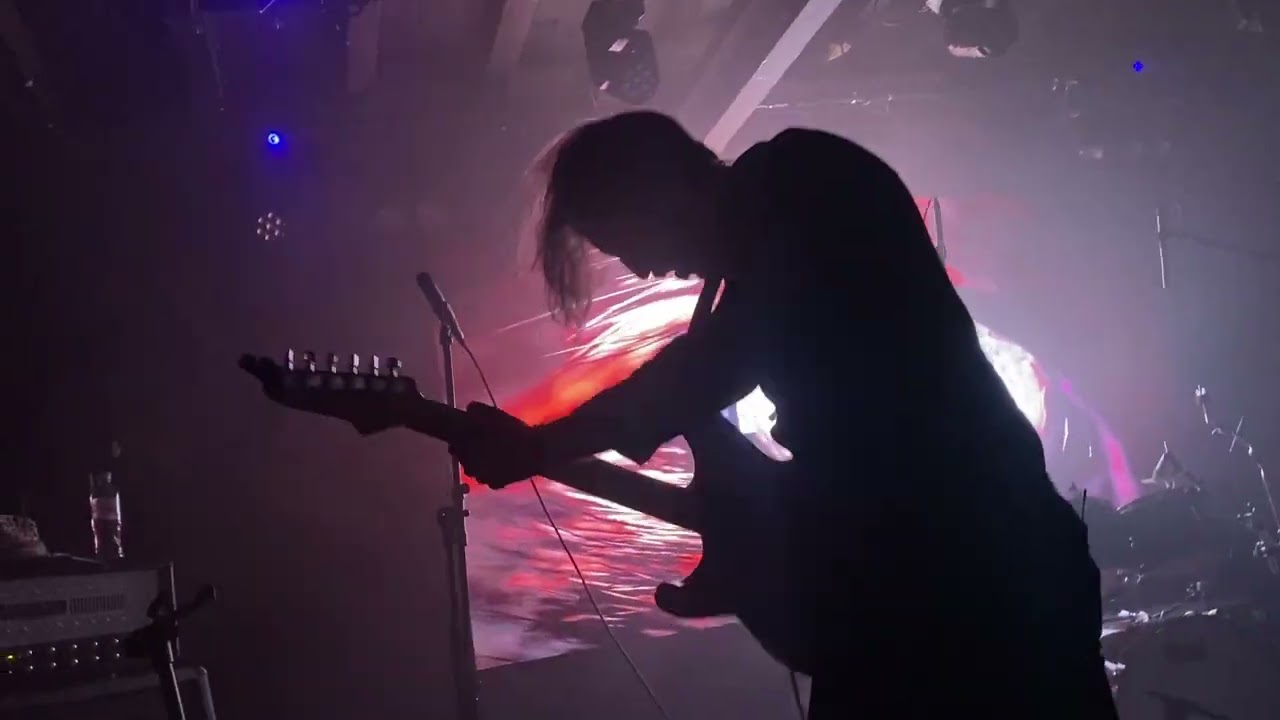 Animal. Watermelon Explosion