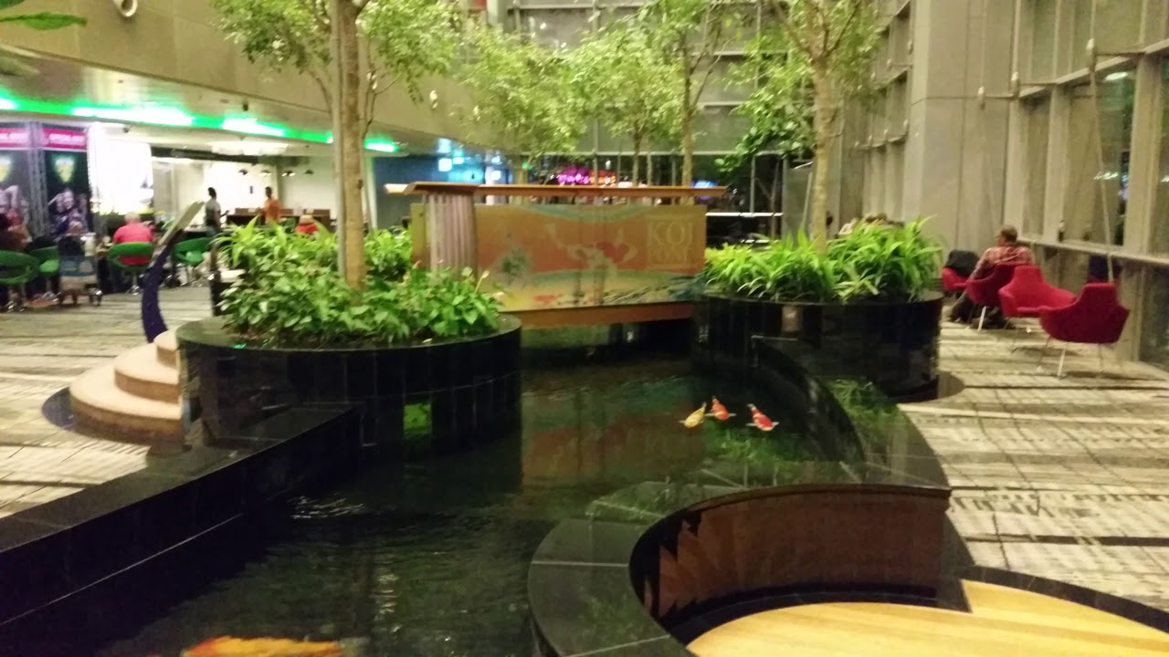 Koi Pond @ Changi Airport - YouTube