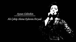 Aysun Gültekin - Ah Çekip Aleme Eylerem • Türkü Dinle Resimi