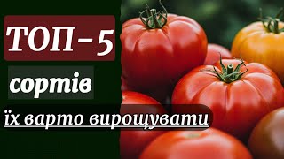 Топ-5 врожайних та смачних сортів томатів для відкритого ґрунту #сорт #томат