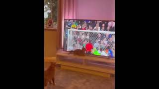 Böyle 13. Adam Lazım Hehehehee