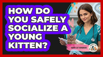 How Do You Safely Socialize A Young Kitten? - Happy Cat Handbook