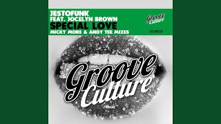 Special Love (feat. Jocelyn Brown) (Micky More &amp; Andy Tee Jazzy Dub)