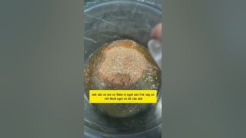 Bài mồi câu cá chép, cá diếc mùa hè #cauca #dammecauca #fishing #fishingvideo #moicauca #moicau