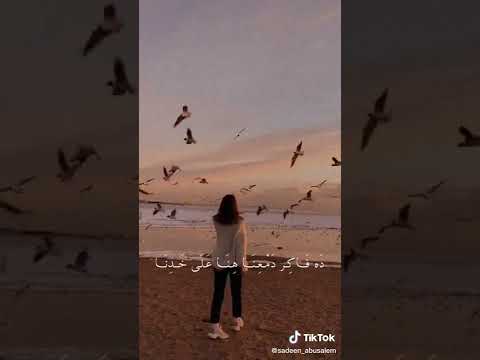 لاده فاتوا فاتوا رميناه بماضيه وحكياته حالات واتس اب للبنات