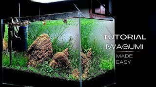 LOW TECH IWAGUMI AQUASCAPE | NO CO2 INJECTED | AQUASCAPING TUTORIAL