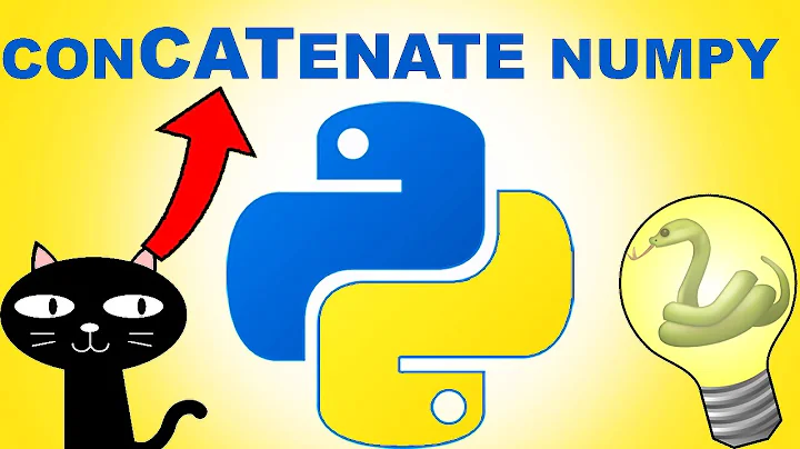 Python Numpy Concatenate