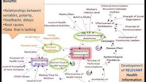 Application of Causal Loop Diagrams to Health Care