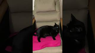 Alican Kafasına Göre