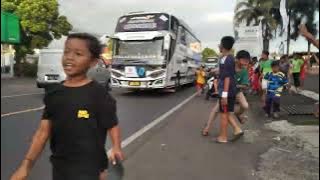 telolet Basuri bus KIDS PANDA yg lagi viral