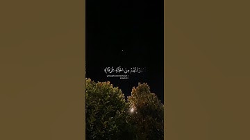 من سورة العمكبوت🍁 | القارئ حمزة سعيد | #quran #القرآن_الكريم #القرآن