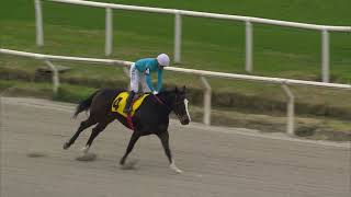 Vidéo de la course PMU PRIX VILLA DESTE (2020)
