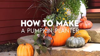 New Rae Dunn PUMPKIN EVERYTHING Fall Halloween Seed Planter Crops