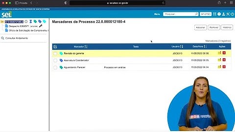 Módulo 2 -  Momento SEI 11_versão 4.0 - Como gerenciar o uso dos marcadores no SEI?