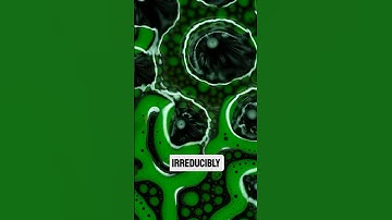 Reasons to believe in God: 4. The Teleological Argument