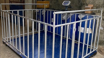 Cân điện tử 1,5 x 2m cân 7-8 con lắp tại Thái Bình.