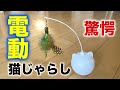 こたつにオモチャを買いました！　電動猫じゃらし（BENTOPAL PO2）の威力はいかに!?