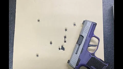 Sig P-365: 9x19mm vs 380 ACP