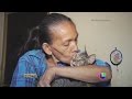 Mujer que cuida a más de 100 gatos busca desesperada un nuevo hogar para sus consentidos