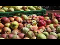 How to Make a Fruit Mash - Apple Brandy - Moonshine - 4K