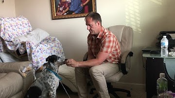 Using Counterconditioning to Stop Rocky from Barking