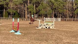 Bode 2’9 power speed hunter style