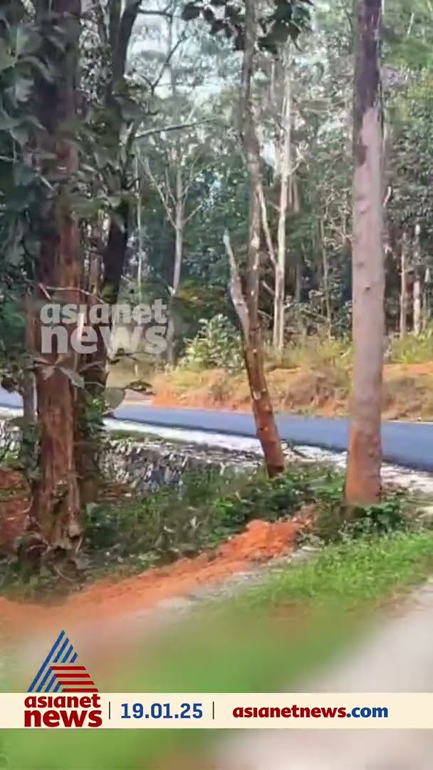 വയനാട്ടിൽ പാഞ്ഞടുത്ത കാട്ടാനയിൽ നിന്ന് തലനാരിഴയ്ക്ക് രക്ഷപെട്ട് കുടുംബം