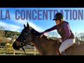 Vlog & Séance Commentée - Dressage et Saut - Concentrer son cheval