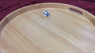 STEM project:🤖Bristle bot🤖