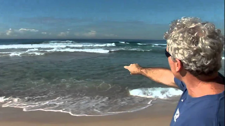 The Beach Survival Guide