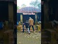 Dance dance tiktok masud