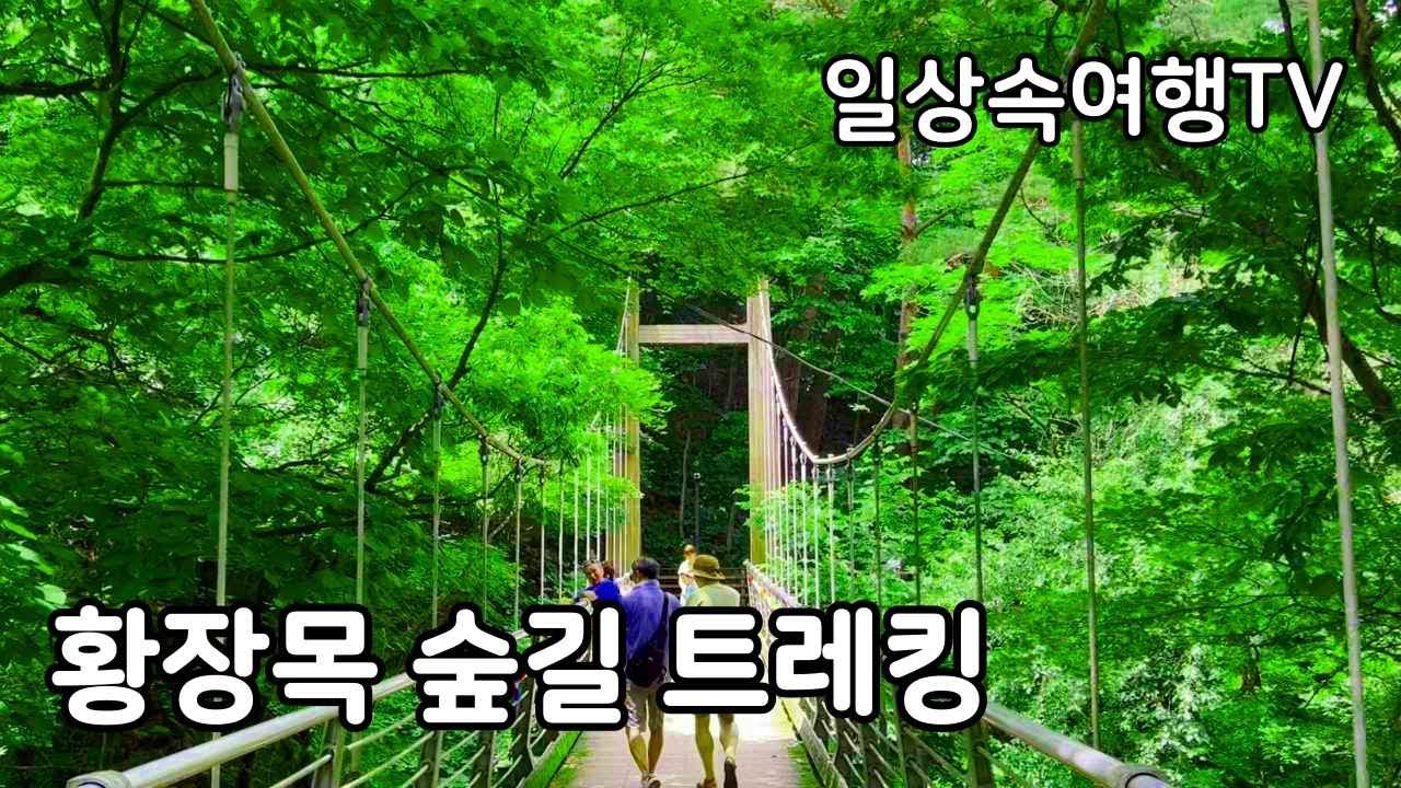 황장목 숲길 트레킹 치유의 힐링여행지 Forest Trail Trekking Course in Wonju, Gangwon-do, Korea