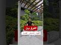 كيفية تطوير الجري
