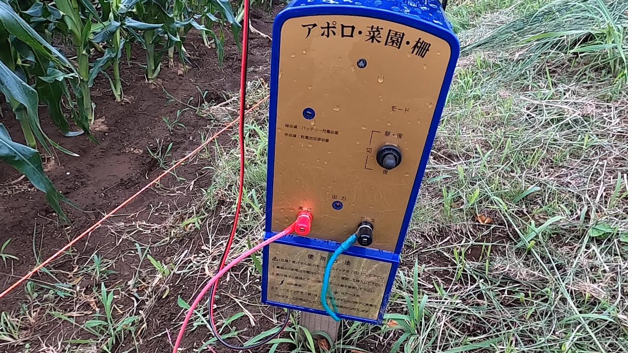 ア*✨様 アポロ園芸柵　電柵　園芸　園芸柵　アポロ園芸　家庭菜園　畑 アポロ園芸柵 電柵 園芸 園芸柵 アポロ園芸 家庭菜園 畑 電気柵