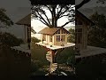 construction of house on the trees of forest